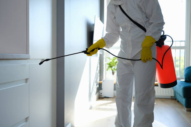 Best Black Mold Removal  in Granite Bay, CA